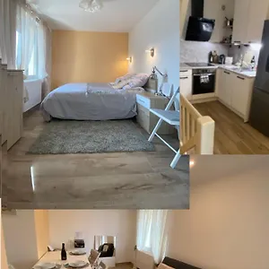  Appartement Modern And Well Done Flat Geneva - Self Check-in